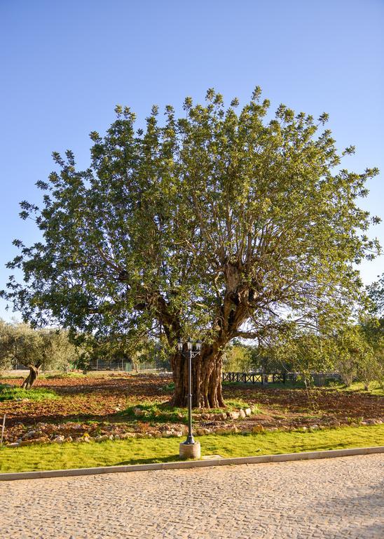 Quinta Dos Tesouros Villa Sao Bras de Alportel Bagian luar foto