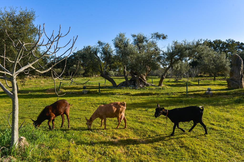 Quinta Dos Tesouros Villa Sao Bras de Alportel Bagian luar foto